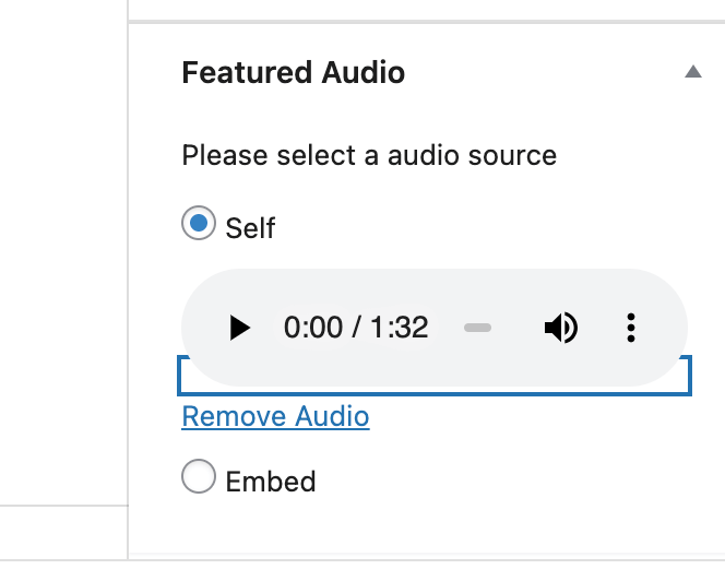 uploaded audio file display in guttenberg editor